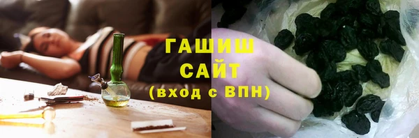 шишки Белокуриха