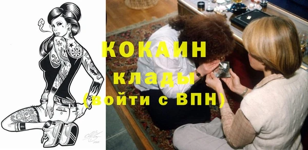 шишки Белокуриха