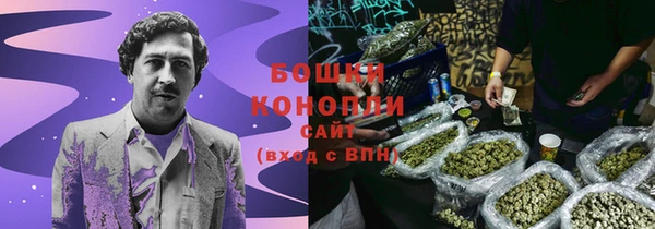 шишки Белокуриха
