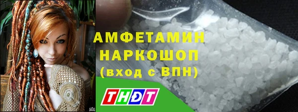 шишки Белокуриха