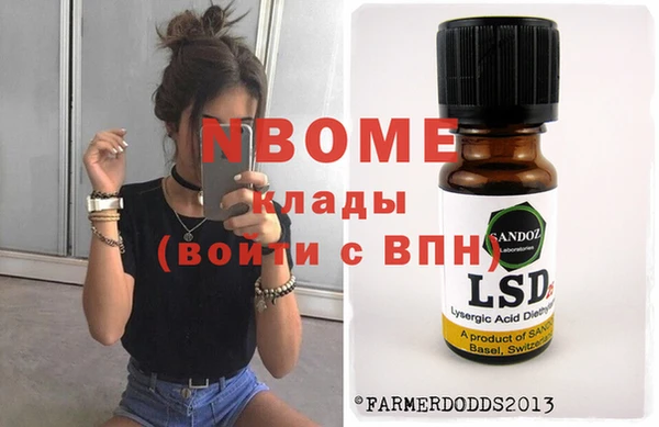 шишки Белокуриха